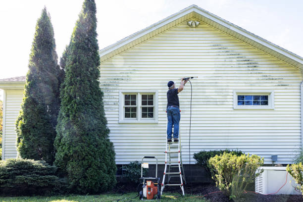 Best Deck Cleaning Services  in Washington, MO